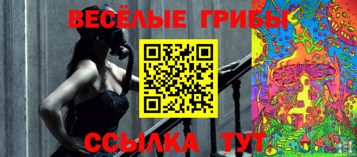 Псилоцибиновые грибы Psilocybe  Вход с VPN  Скопин  Псилоцибиновые грибы прущие грибы 